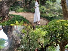 -Chom Cafe and Restaurant