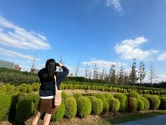 -春花秋色城市公园