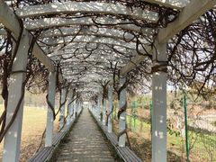 -南京中医药大学(仙林校区)