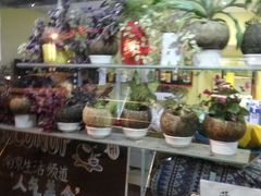 -志龙皇冠吃货椰子铺