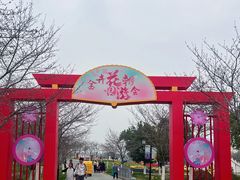 -金卉庄园