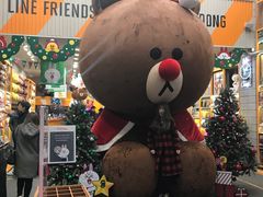 -line friends(明洞旗舰店)