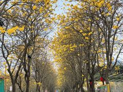 -盈香心动乐园