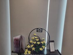 -如一·美甲美睫