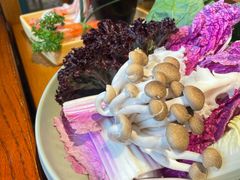 -手选潮汕鲜活牛肉火锅(二七广场店)