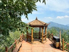 -大岭沟猕猴桃谷风景区