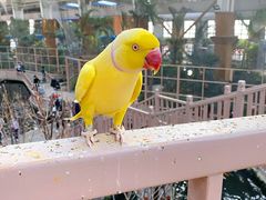 -南宫五洲植物乐园