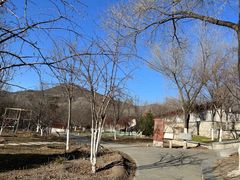 -北京西山国家森林公园