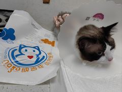 -纳吉亚猫专科动物诊疗中心(蒋宅口分院)