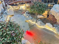 -蘇河湾·新鲁菜·泰山宴(泰山店)