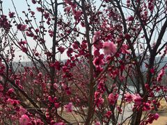 -艾山风景名胜区