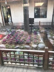 点击看大图 -爱儿美儿童摄影(朝阳公园店)