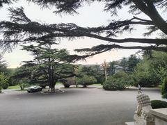 -棒棰岛宾馆景区