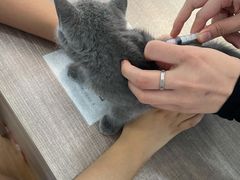 -荔康动物医院(康王北路店)