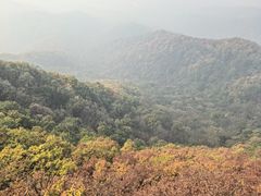 -吉林市朱雀山国家森林公园