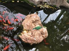 -昆明动物园