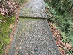 -上海佘山国家森林公园天马山园