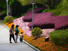 -金鸡山公园