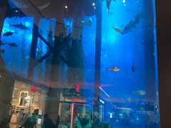 -迪拜水族馆及水下动物园