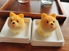 -柴犬高等学院·狗咖·柴犬售卖·宠物训练