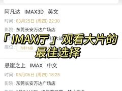 -万达影城(长安万达广场IMAX店)