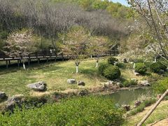 -羊山湖公园