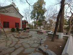 -大觉寺-停车场