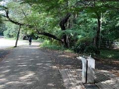 -井之头恩赐公园