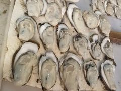 -南沙十九涌渔人码头-南门