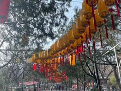 -千佛山风景名胜区