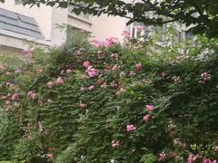 -江南大学(蠡湖校区)