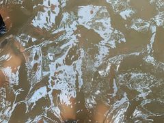 -虎啸峡漂流