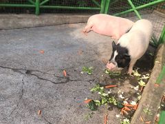 -杭州野生动物世界
