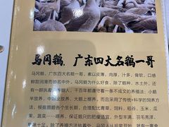 -鹅城