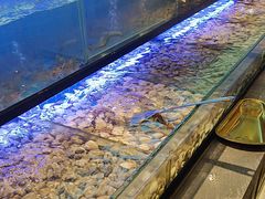 -透明思烤·自助烤肉海鲜火锅(东部星悦天地店)