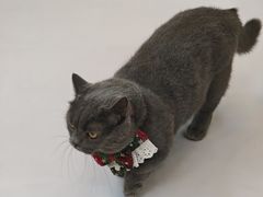 -天虹购物中心(深圳龙华店)