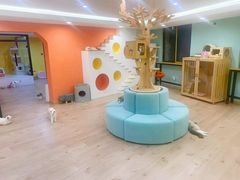 -Bastet sally猫舍购宠(静安店)