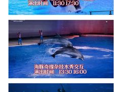 -上海海昌海洋公园