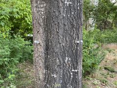 -仁和公园(顺义区)