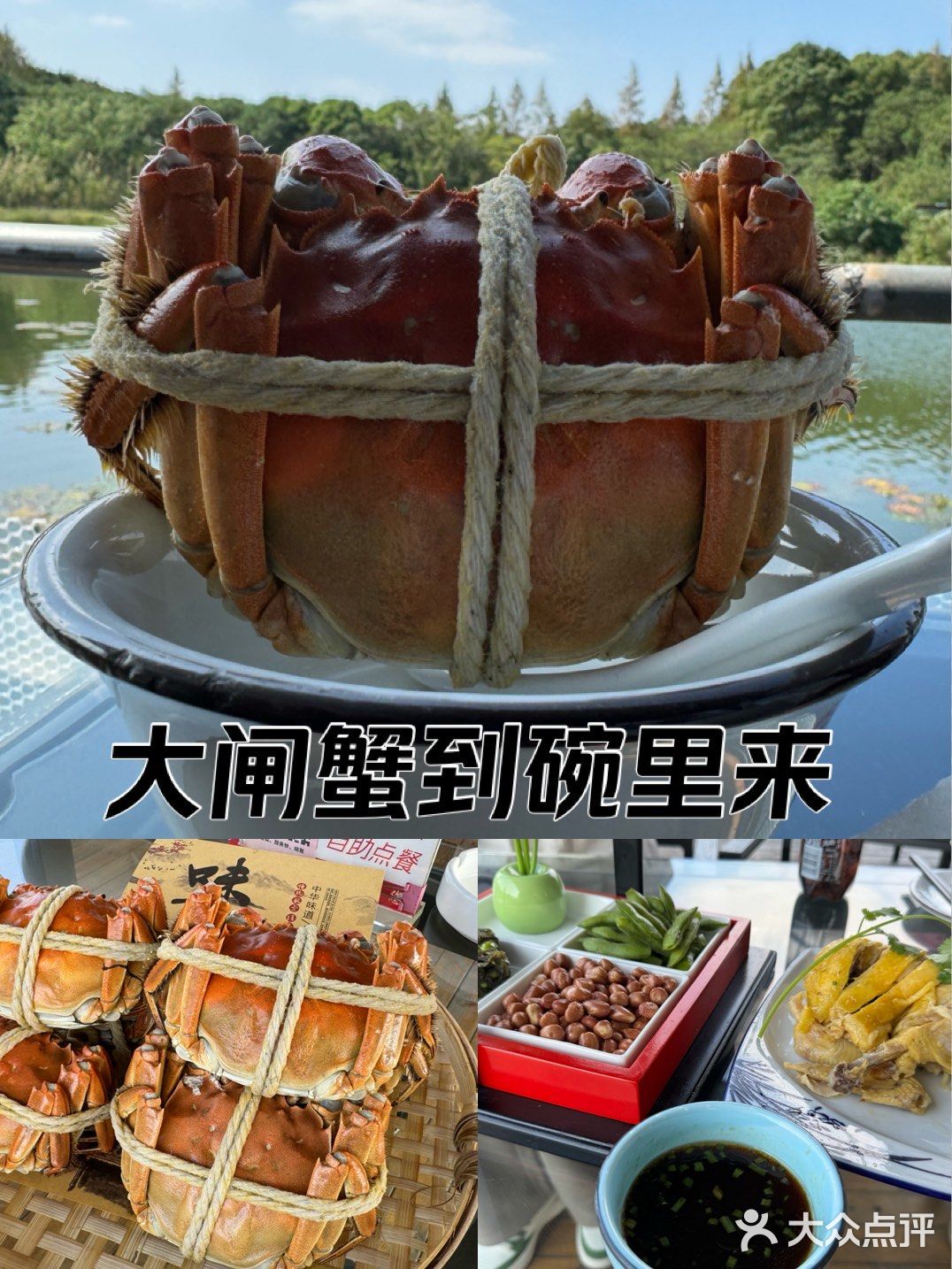 吃胖蟹🦀