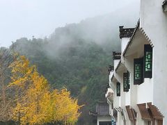 -大鄣山卧龙谷景区