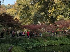 -岳麓山风景名胜区