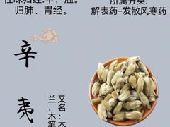 -北京颐和宾馆