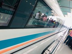-浦东1号2号航站楼(地铁站)
