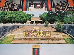 -百万葵园