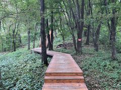 -吉林市朱雀山国家森林公园