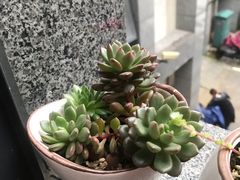 -联合口腔(西环诊所)