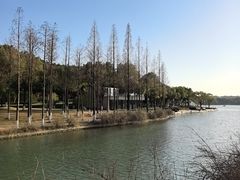 -暨阳湖生态园