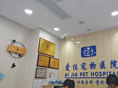 -爱佳宠物中心医院24H·CT·骨外科·猫专科(瑶海万达店)