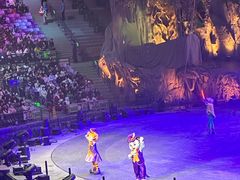 -广州长隆国际大马戏